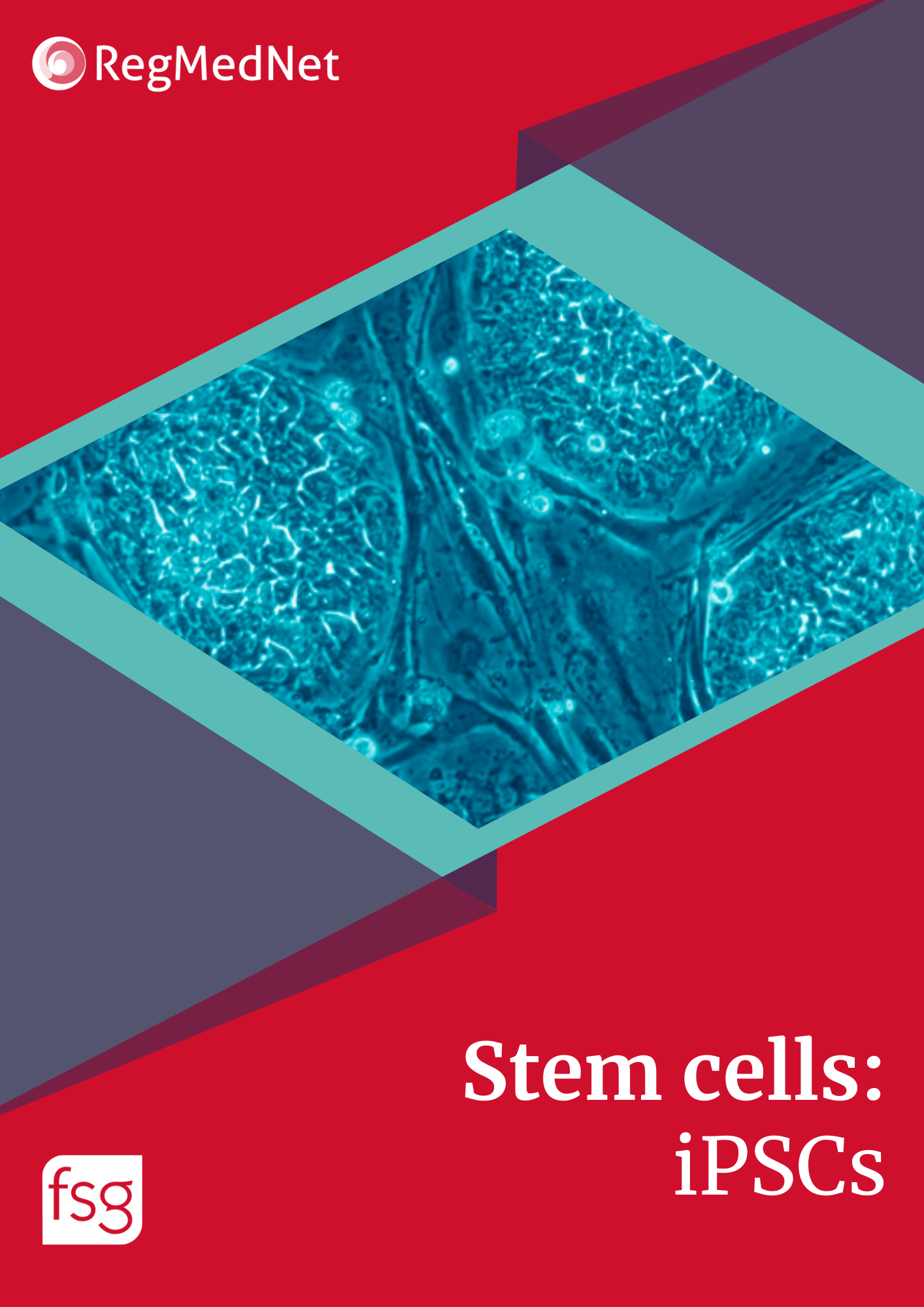 _RMN eBook - Stem cells iPSCs